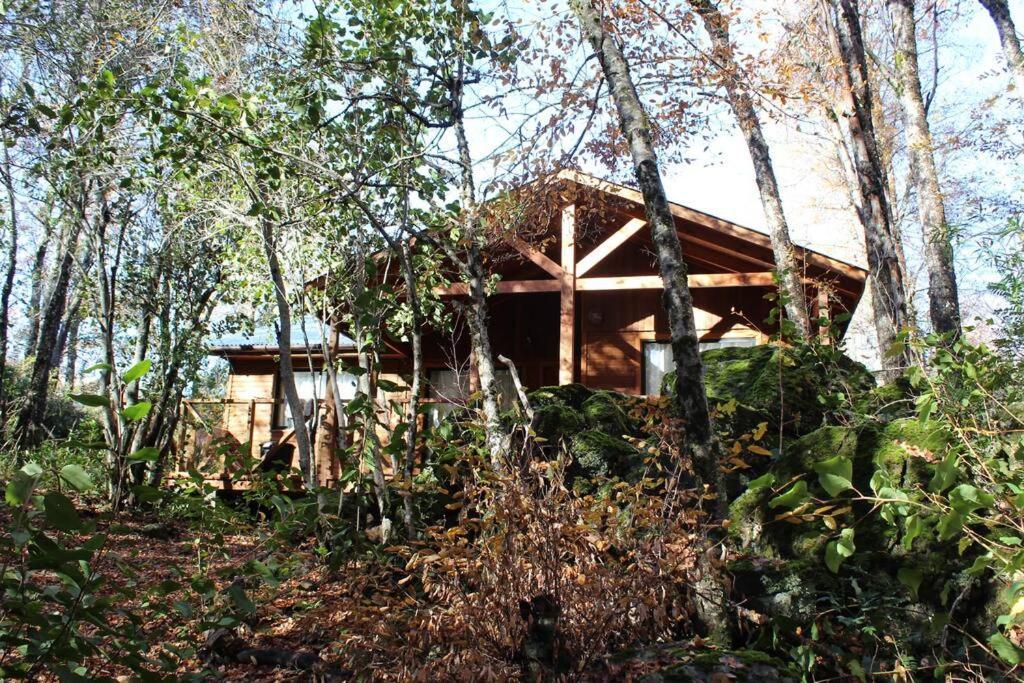 Cabana Bosque Viejo Villa Las Trancas Exterior photo